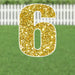 Gold glitter yard sign shaped like the number 6 with white trim, displayed on a lawn with white picket fence in the background.