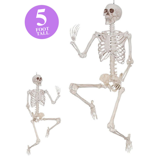 Realistic Poseable Skeleton 60in