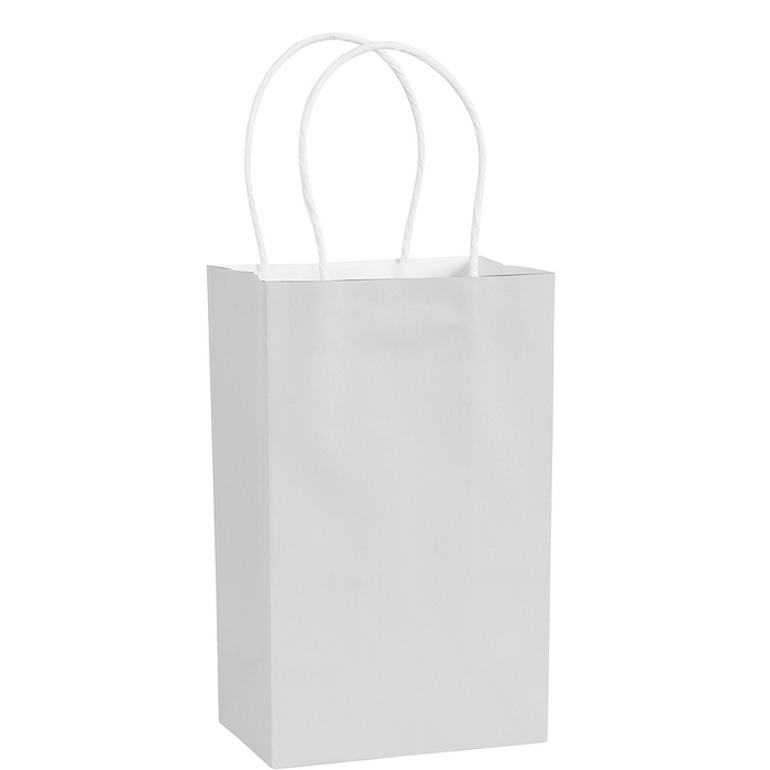 Paper Shopping Bag with Paper Handle Small